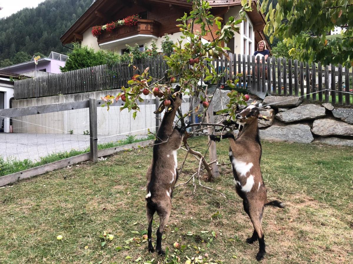 Sonnenschloessl Apartments Neustift im Stubaital Zewnętrze zdjęcie